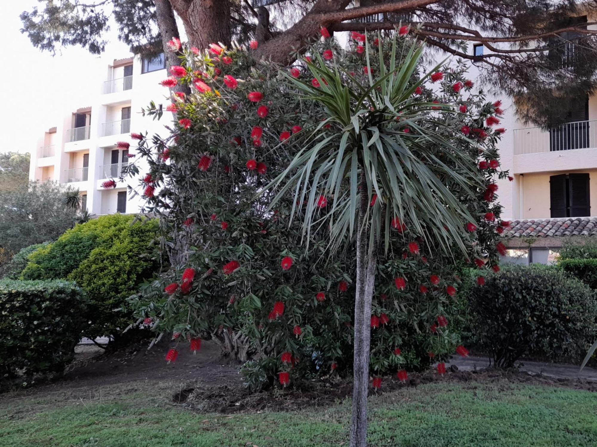 Marina Bella Apartment Cogolin Exterior photo